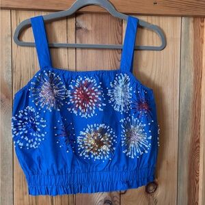 Queen of Sparkles Beaded Firework Crop Top
